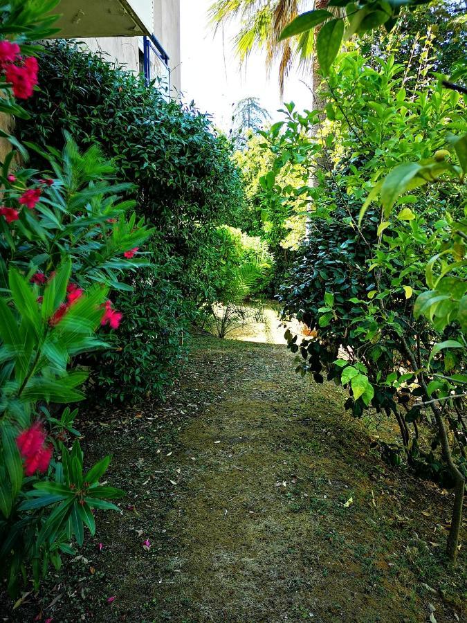 Plage la Salis 3 chambres, Jardin - 3 bedrooms Antibes Exterior foto